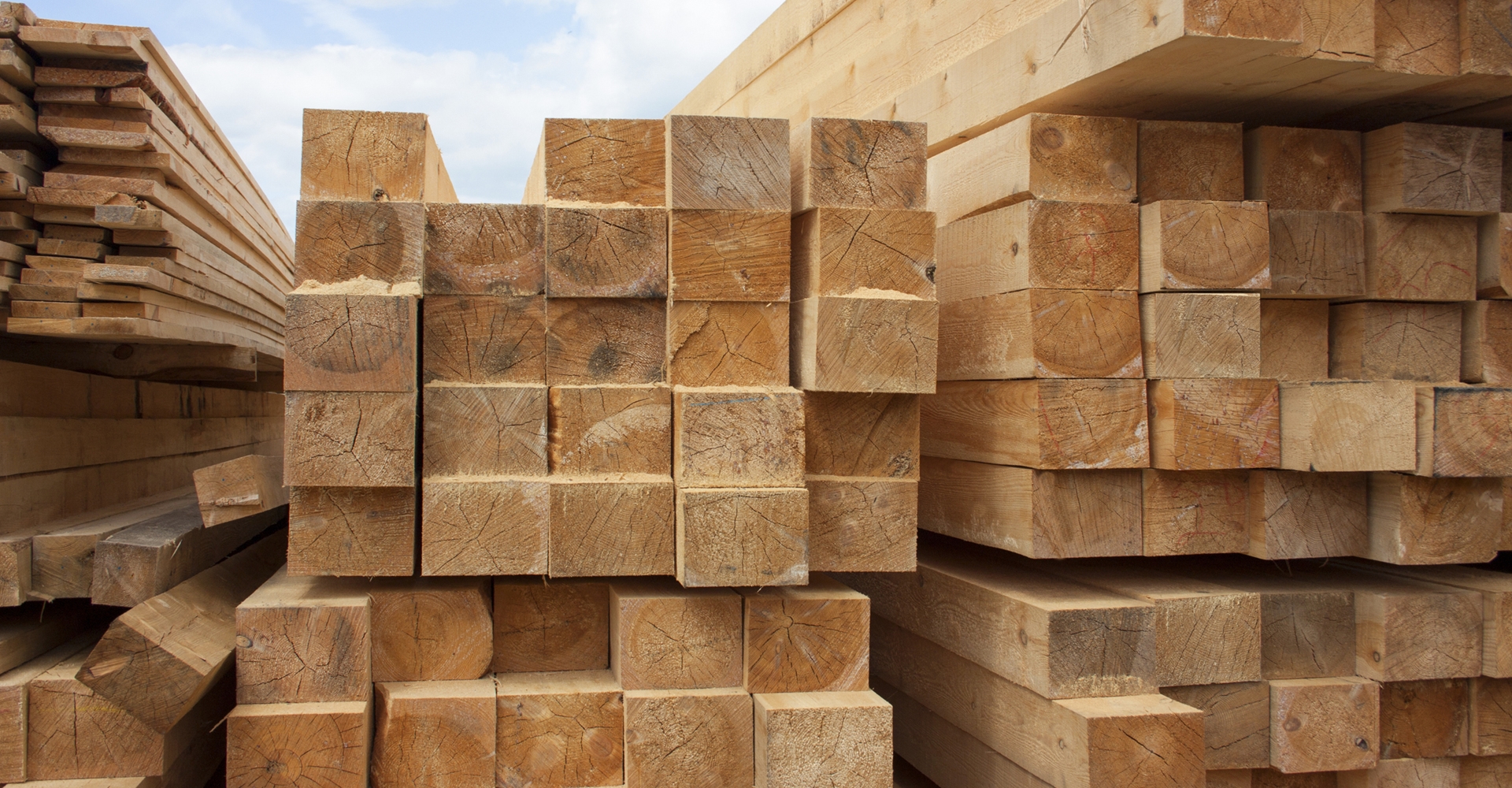 Sachsenhofer GmbH - Säge- und Hobelwerk in Herzogsdorf